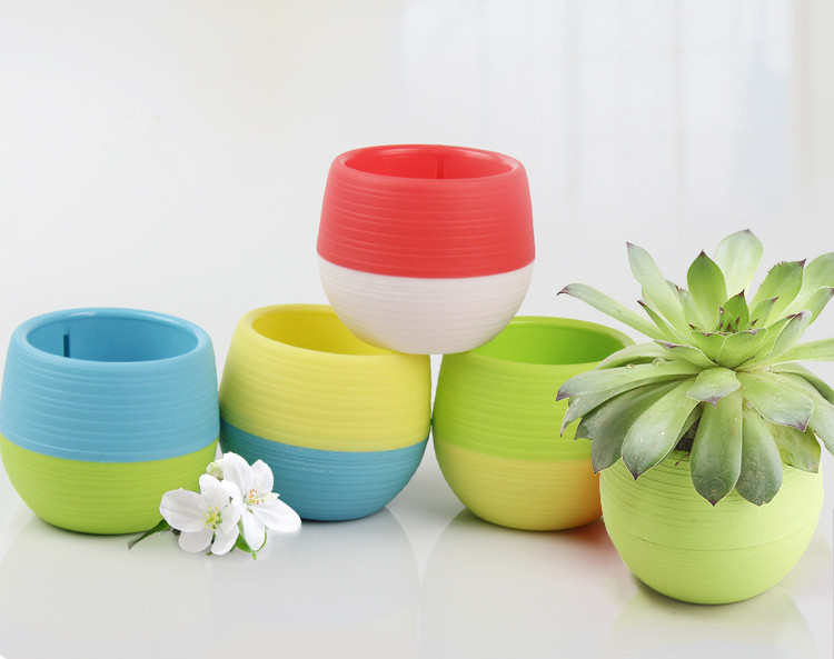  Mini  Pot  Bunga Hias Kaktus  Tanaman 5 PCS Multi Color 